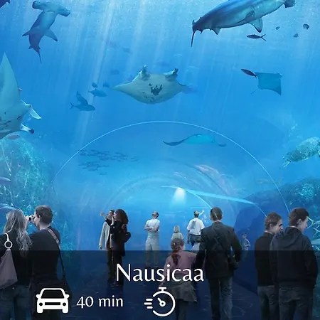 La Pause - Centre-ville *