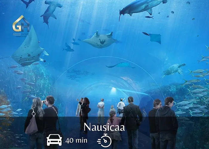 La Pause - Centre-ville *